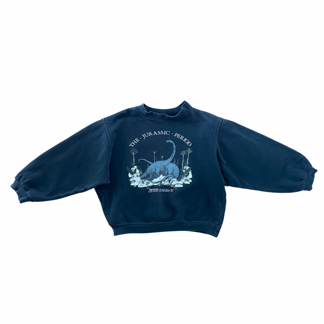 Vintage Boxy Dinosaur Sweatshirt 6/7Y